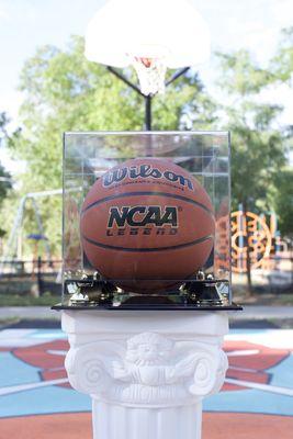 Basketball Shadowbox