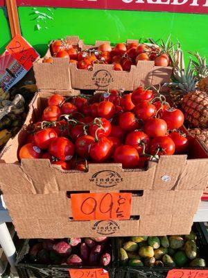 Tomatoes .99 cents a pound