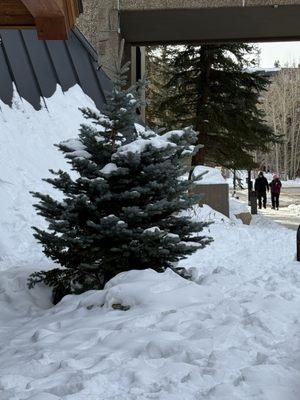 Outside the main lodge