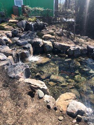 Super cool koi down there! And check out the waterfall.