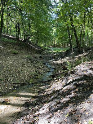 Old Cedar Avenue trail