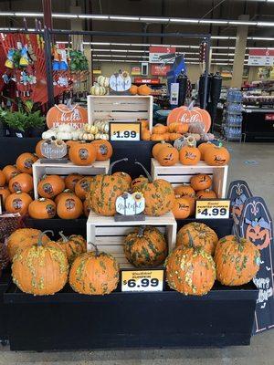 Halloween is quickly approaching... we have your holiday decor on aisle 1!