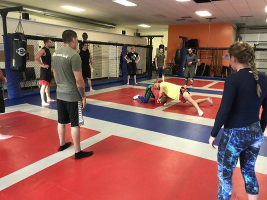 Adult Wrestling/mma class