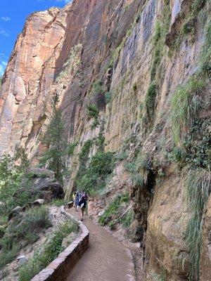 Zion RiverWalk hike