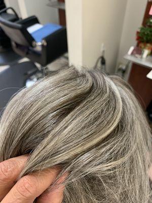 Jeannie's Client got a beautiful gloss over her natural color to take out any yellowing and to enhance the shine of her silver