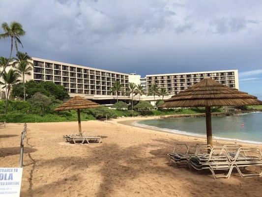 Turtle Bay Resort