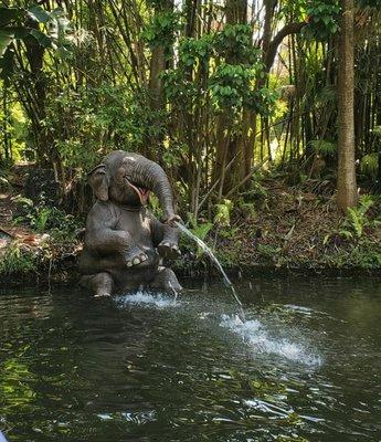 Jungle Cruise