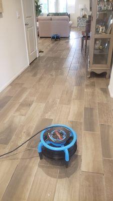 Tile and grout cleaning