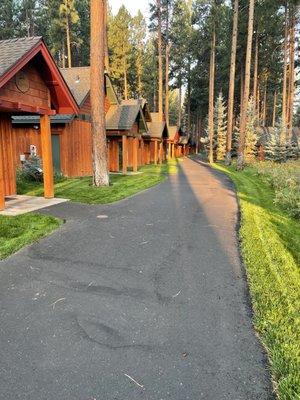 Cabins