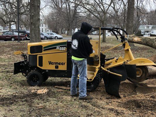 New stump grinder!