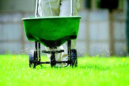 Lawn fertilization