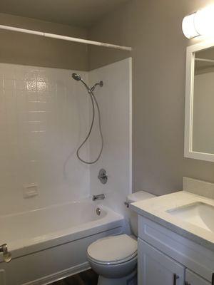 Renovated One Bedroom Bathroom