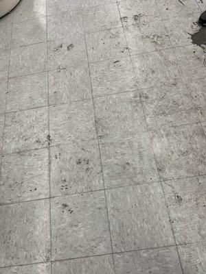 The floor though out the store looks like this