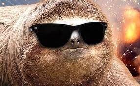 The Sloth