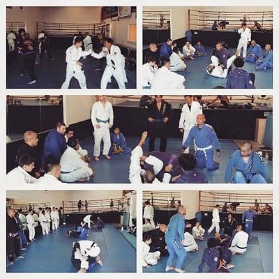 Our adult Jiu-Jitsu program offers the full spectrum of experience:  Beginner, Intermediate & Advance students.