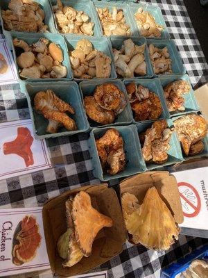 Specialty mushrooms! The Lobster and Chicken Mushroom is unbelievably good.