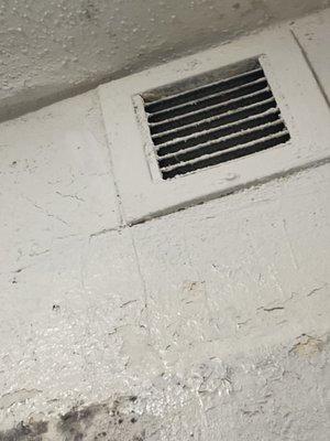 Mildew! Dirty vents in the shower!