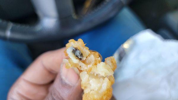 mold inside my tot! sickening!