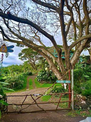 Let yourself in at the gate entrance