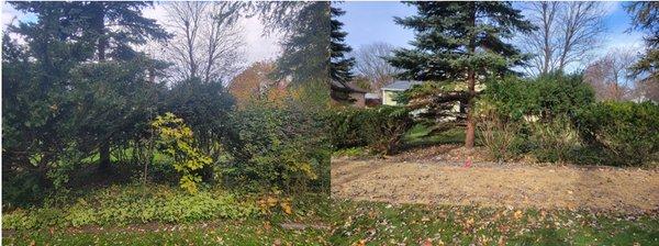 Before & after of our landscaping