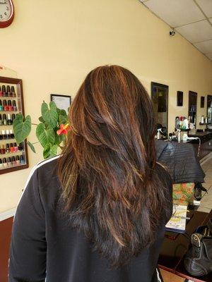 Caramel - Mocha Highlights