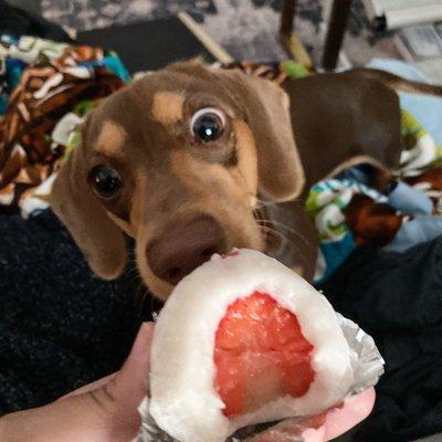 Strawberry mochi