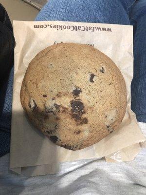 Chocolate chip cookie