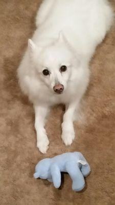 Our baby Cloud