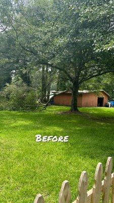 Before photo of a tree service job by Harvey Home Solutions LLC.