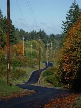 Cushman trail