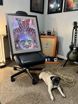 Framed TOOL Poster. Artwork by Alex Grey