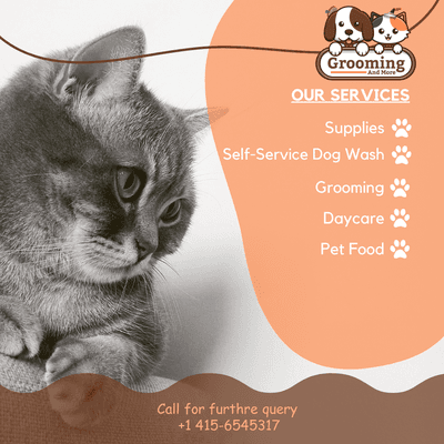 Treat your dog to the pampering he deserves! 
#dog #petcareservices #Grooming #petfriendly #petfood #dogsofinstagram #daycare #petgrooming