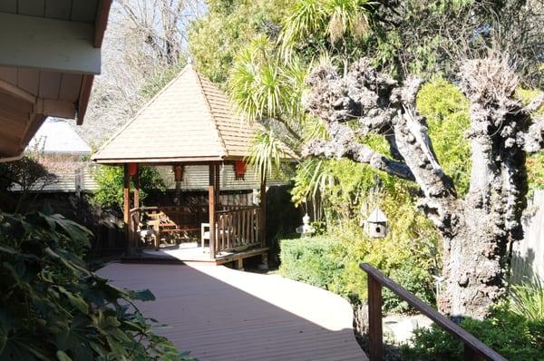 A quiet garden to relax for our elderly residents.