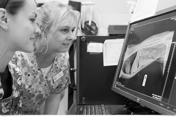 Two of our technicians, reviewing digital imagery from our x-ray machine