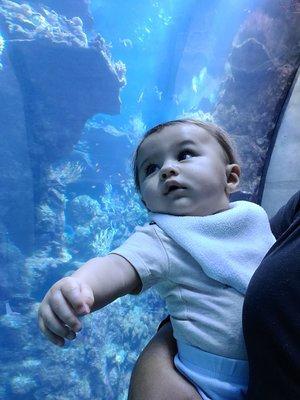 Rainbow Children's Daycare aquarium outing