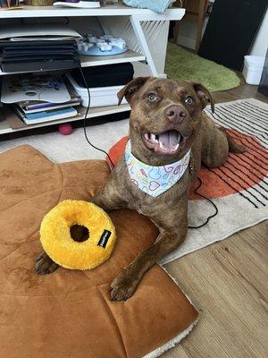 Her cute scarf and happy face at home.