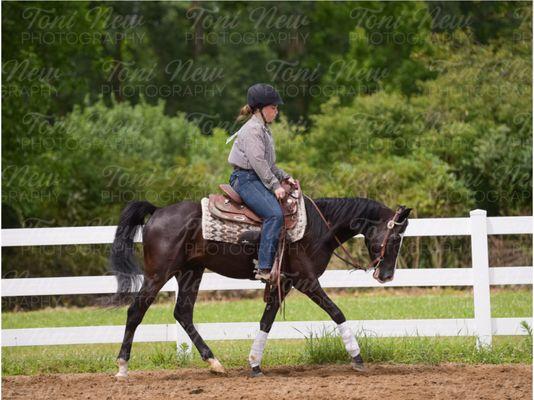 Imperial Performance Horses & Arabians