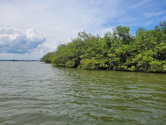 Canaveral Locks-just enough time off the cruise for a paddling!