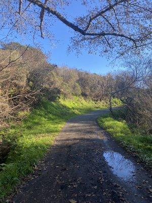 Trail is this wide and well maintained the entire way (I started at coast trail)