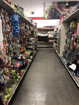 Some Pet supplies