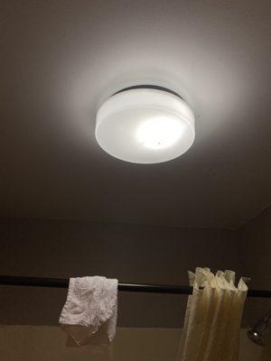 1bulb in the bathroom light fixture. Only a couple of the numerous dead bugs are visible.