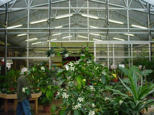 Ward's tropical greenhouse makes the garden center aisles bright and airy.