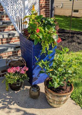 They helped us design and then planted a few planters for us.