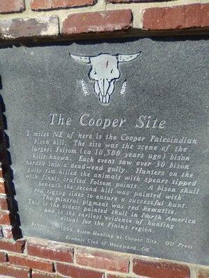 The Cooper Site