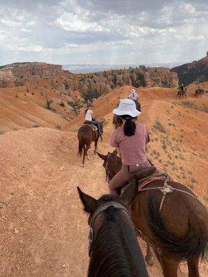 View from my horse Franz during the ride