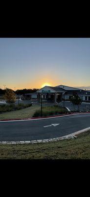 View looking from Walmart (Georgetown) at Pet Paradise, Is it not?  Just ask your pets!