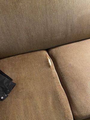 Rip and uncleaned sofa cushions