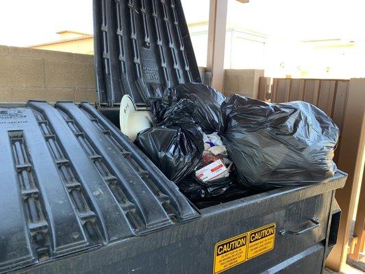 Our trash bins look like this a lot.