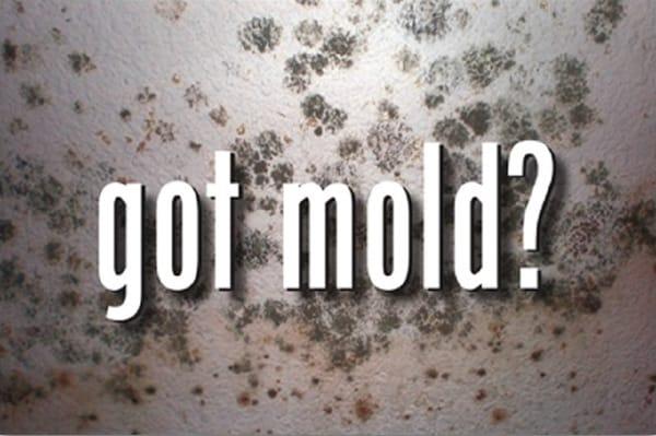 "The key to mold control is moisture control."