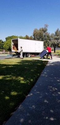 Best local movers